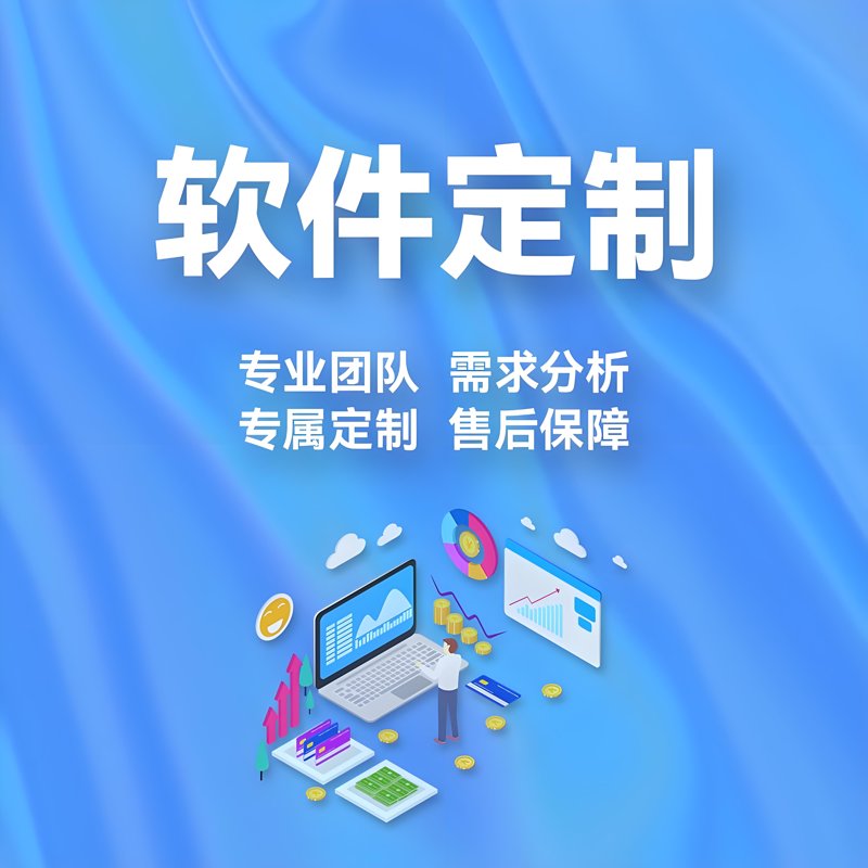 定制开发引领未来软件创新